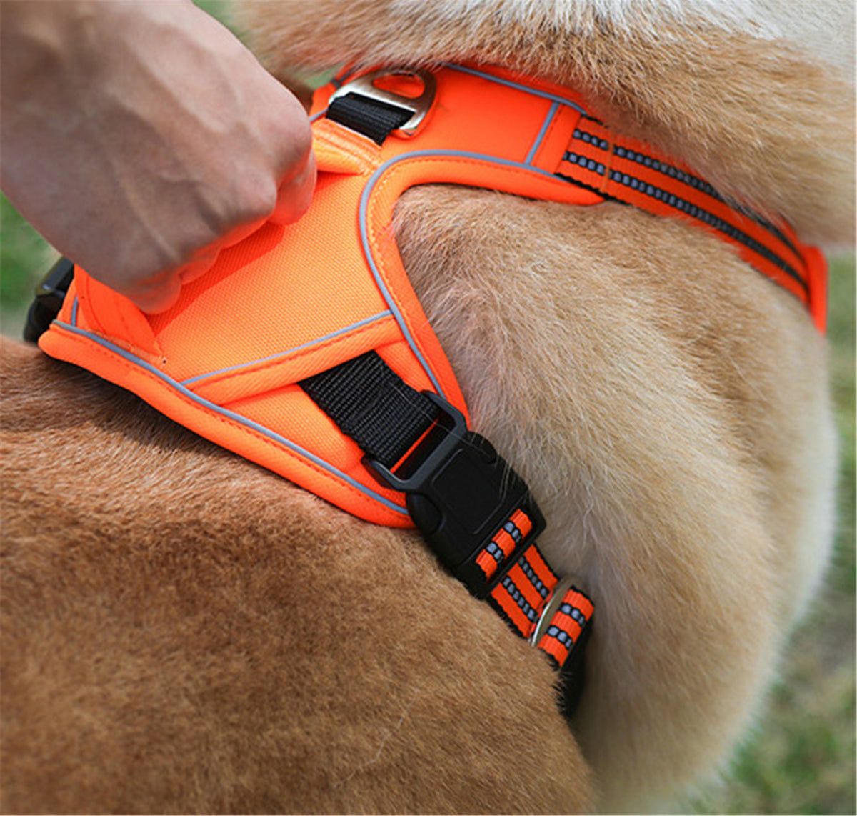 Durable Waterproof Pet Harness with Vertical Handle