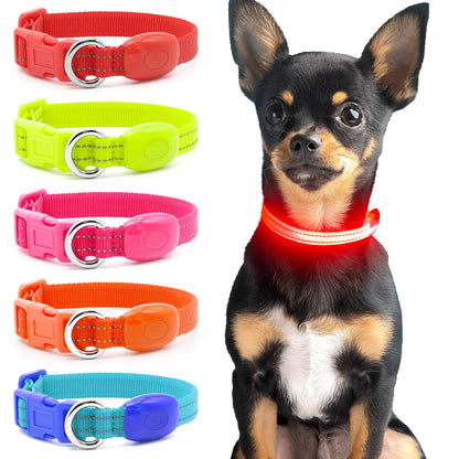 Domagiker Light Up Dog Collars - Reflective LED Dog Collar Rechargeable Bright Safety Glow Collar for Small Dogs& Cats Flashing Lighted Dog Collar Lights for Night Walking (XS Red)